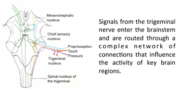TNS Signals